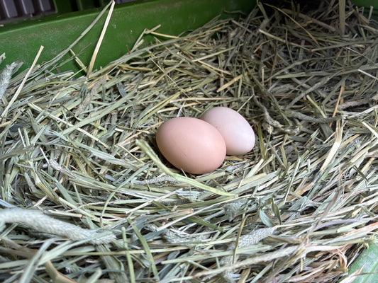 EggSafe PFAS Test Kit
